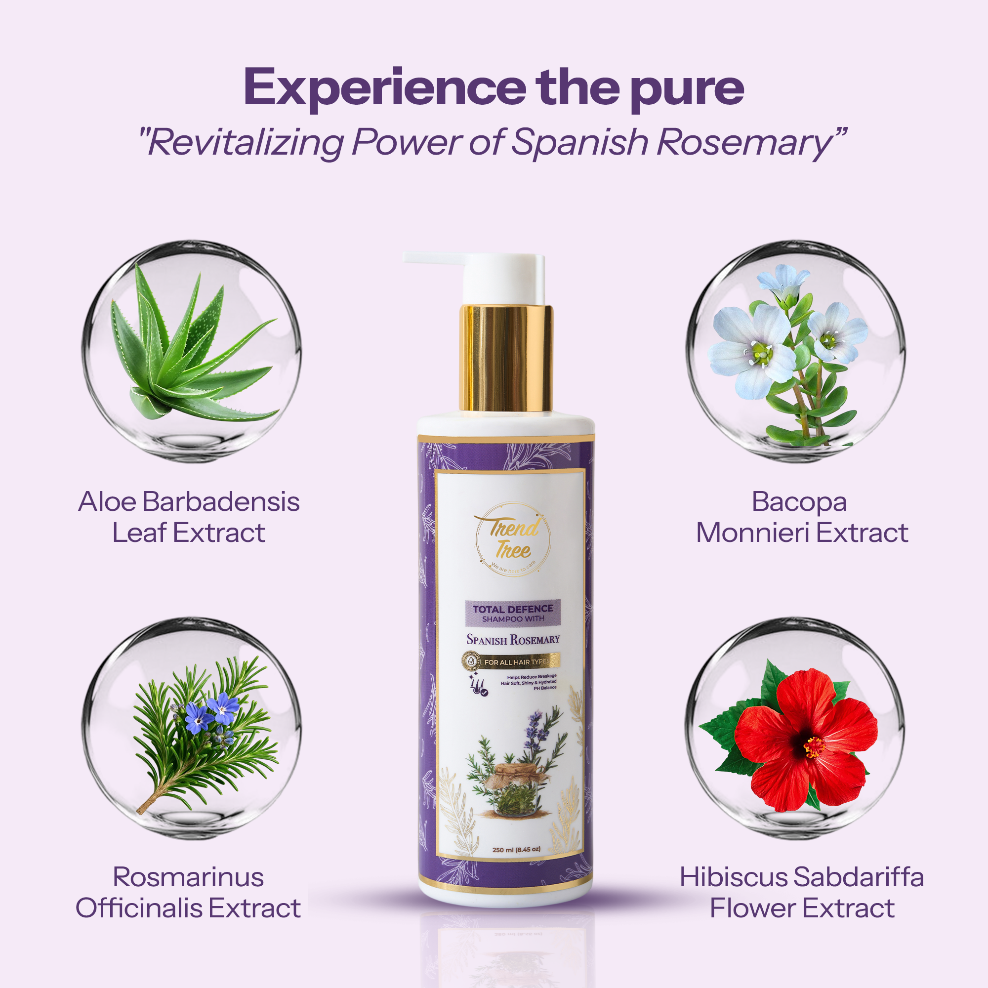 Rosemary Hair Cleanser