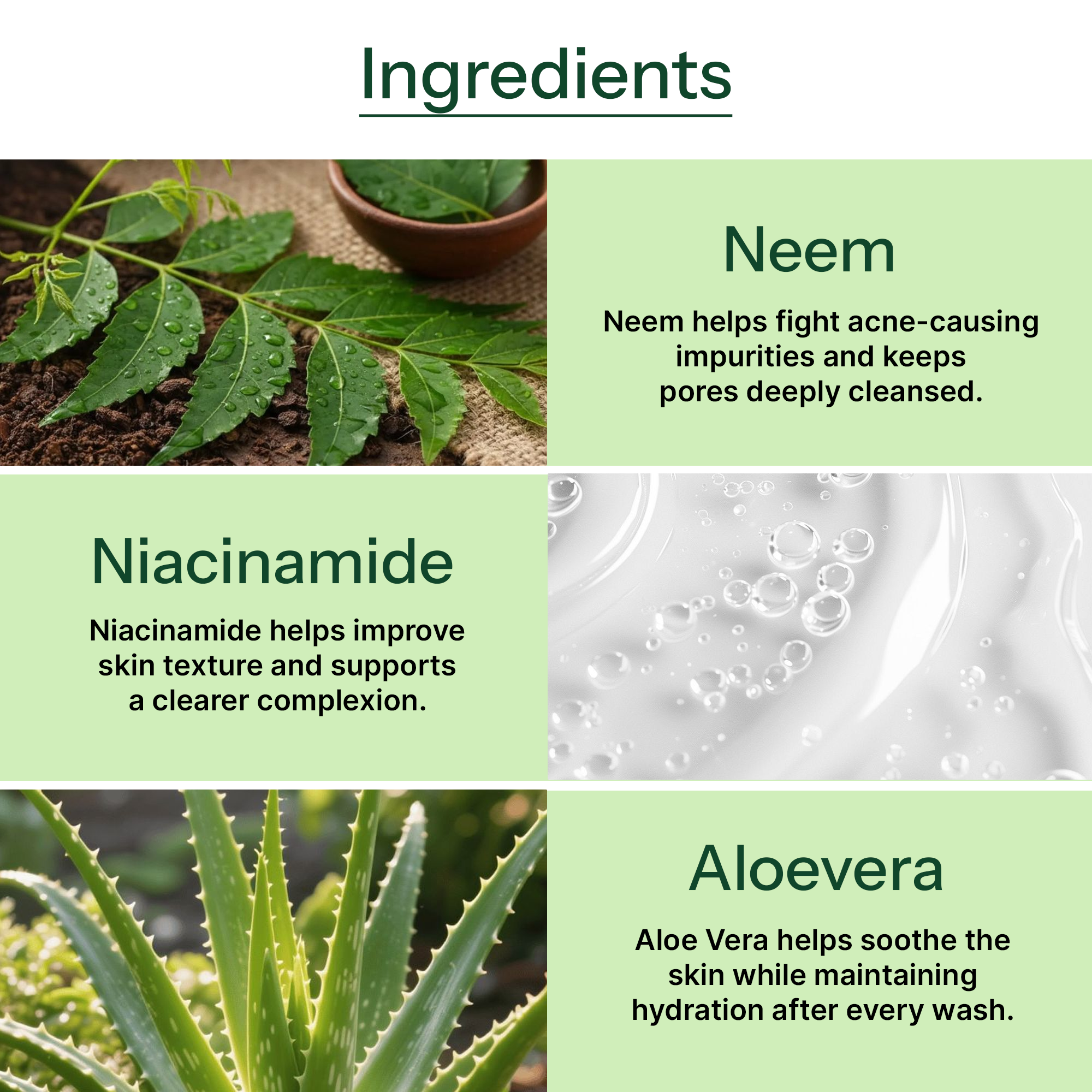 Purifying Facial Neem Cleanser
