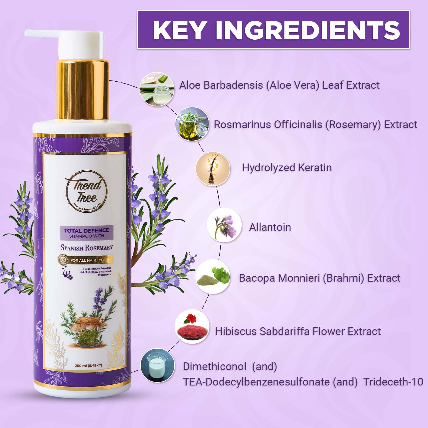 Spanish Rosemary Shampoo