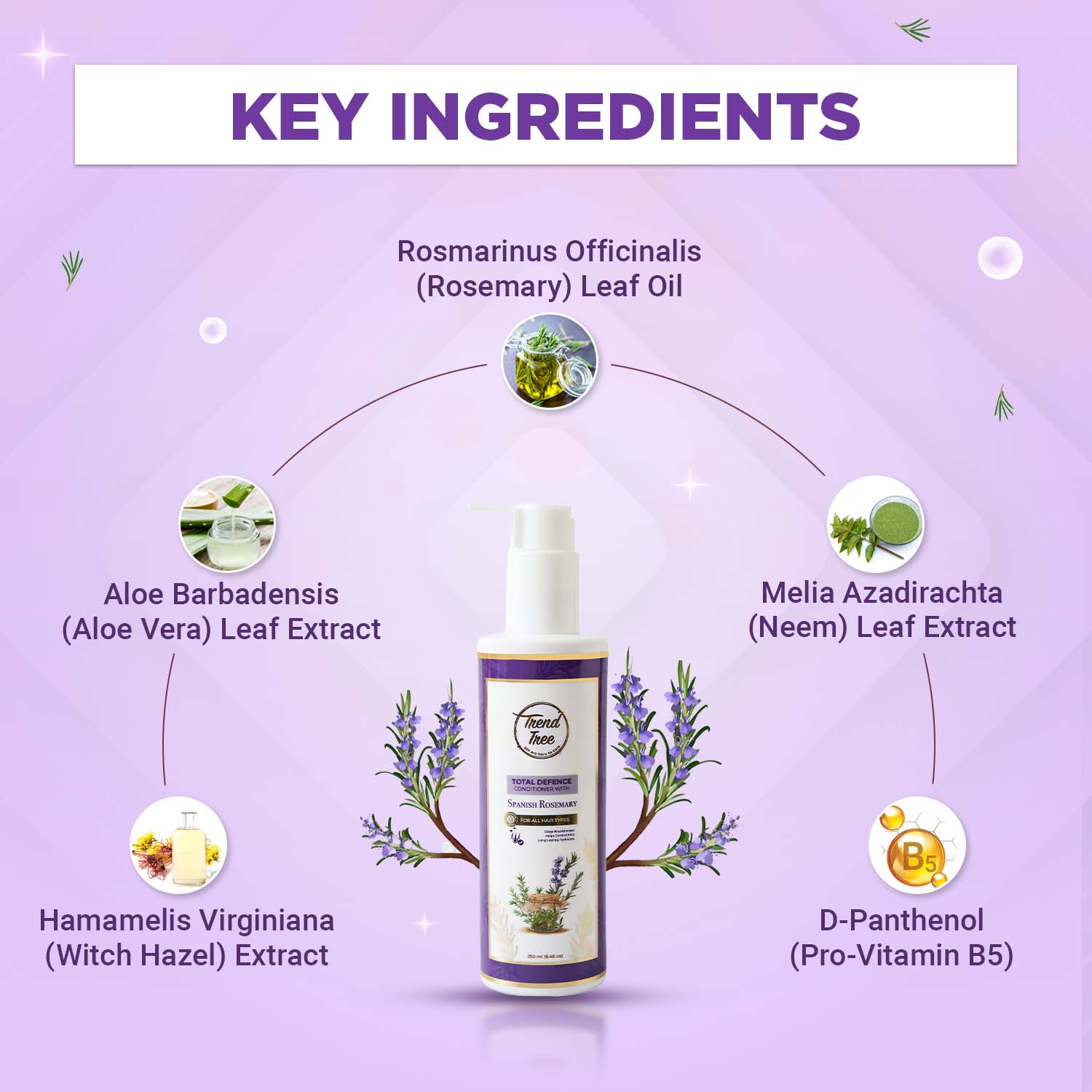 Rosemary Conditioner