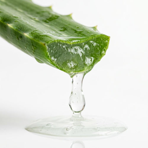 Aloe Barbadensis Extract