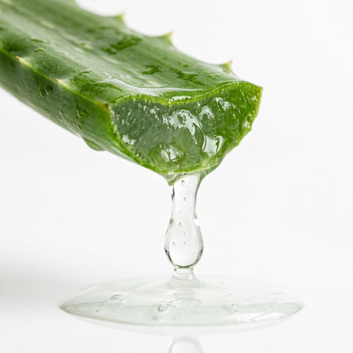 Aloe Barbadensis Leaf Extract
