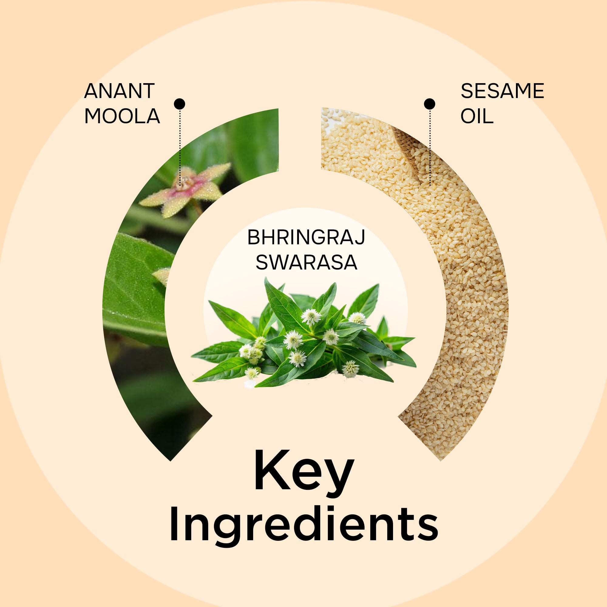 Bhringraj Oil