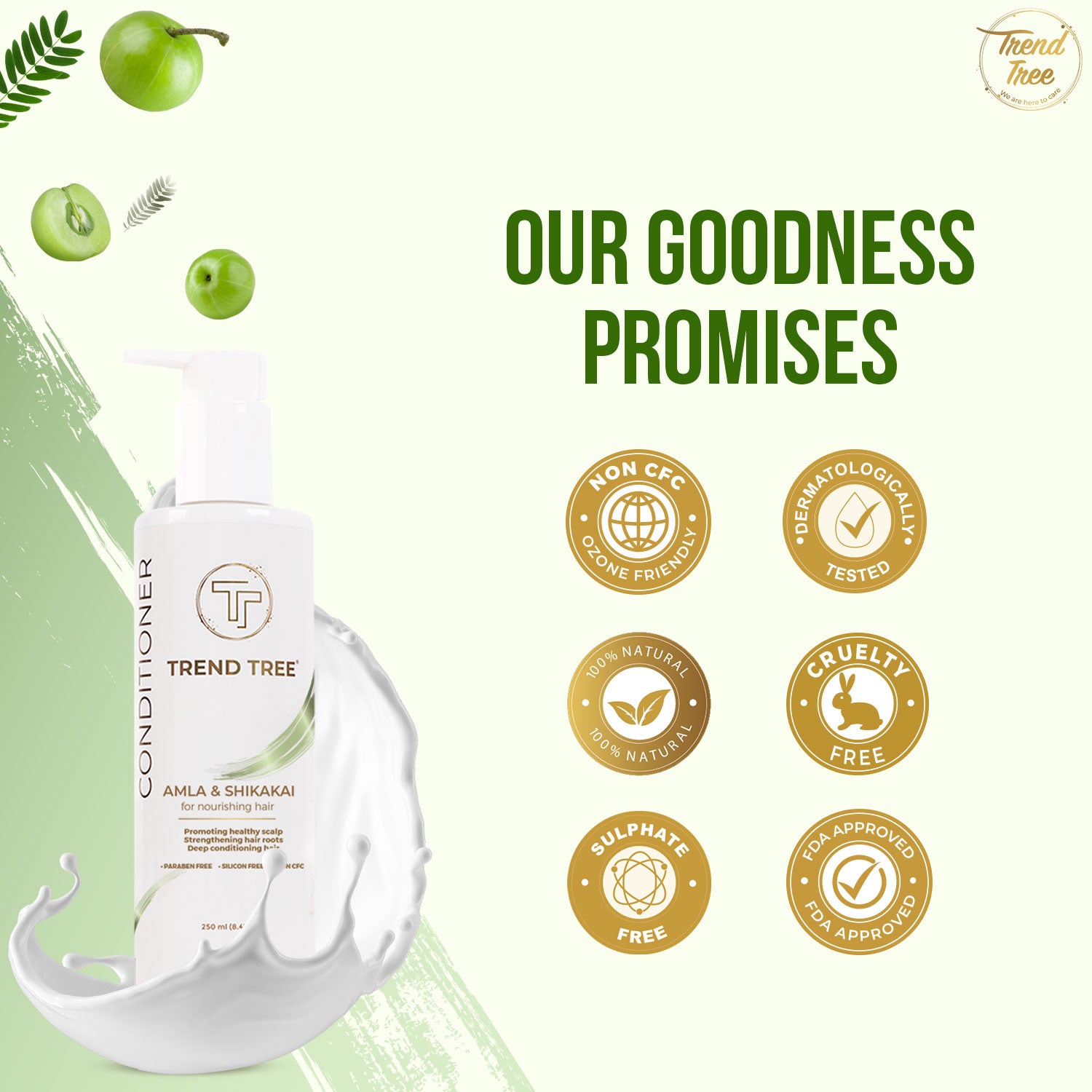 Amla and Shikakai Conditioner