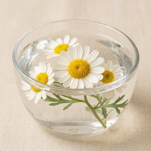 Chamomilla Recutita Flower Extract