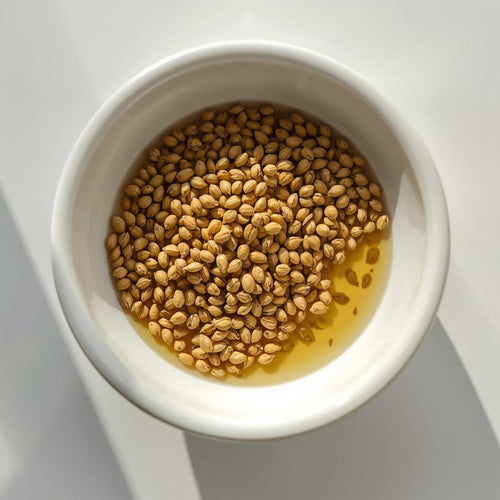 Fenugreek Seed Extract