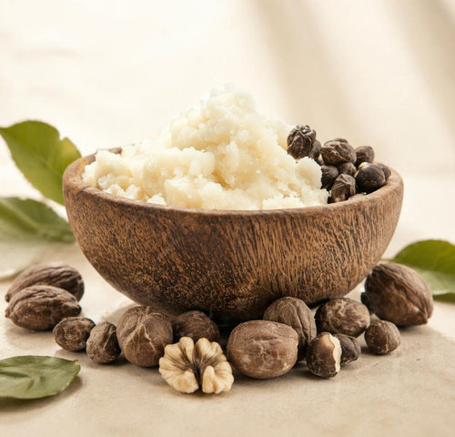 Garcinia Indica (Kokum) Seed Butter