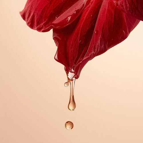 Hibiscus Flower Extract