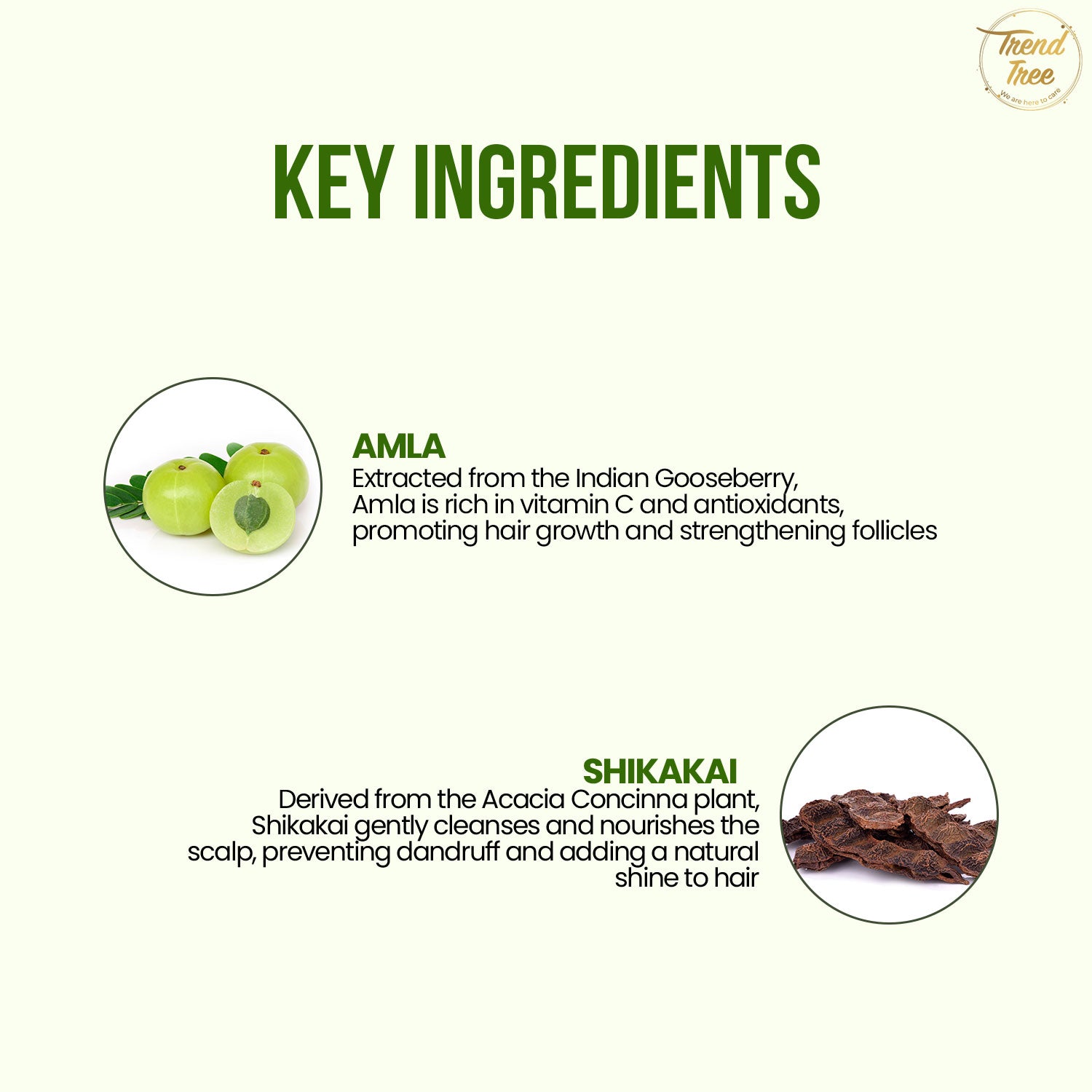 Amla and Shikakai Conditioner