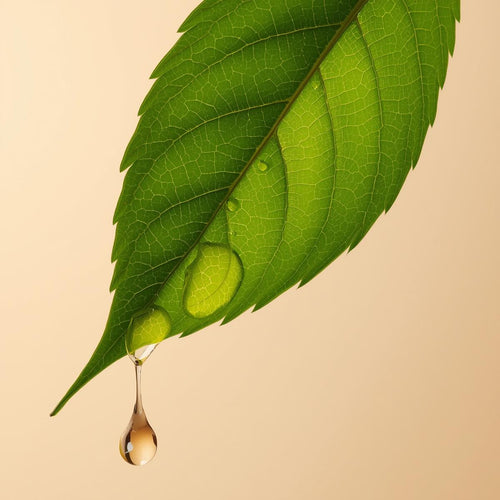 Neem Oil